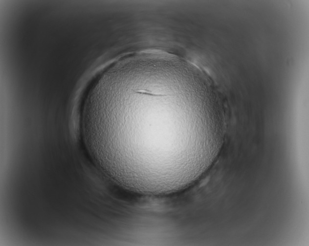 X0000089860343200707121740