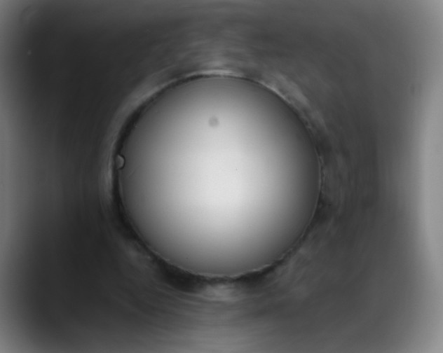 X0000089860344200707121740