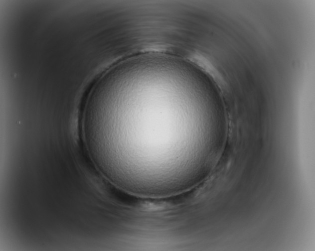 X0000089860346200707121740