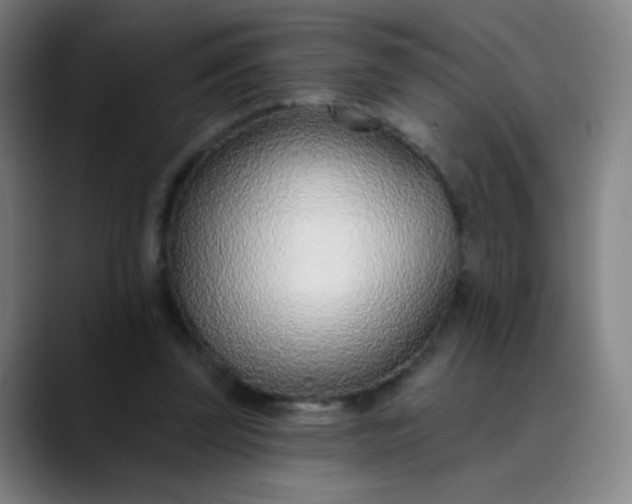 X0000089860347200707121740