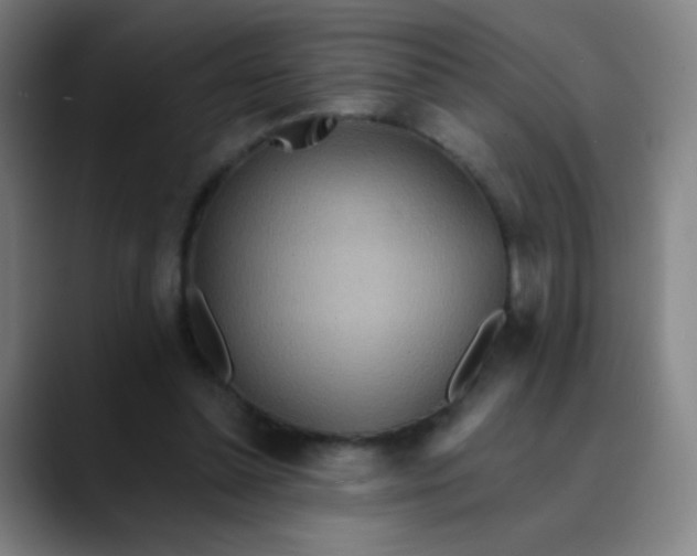 X0000089860348200707121740