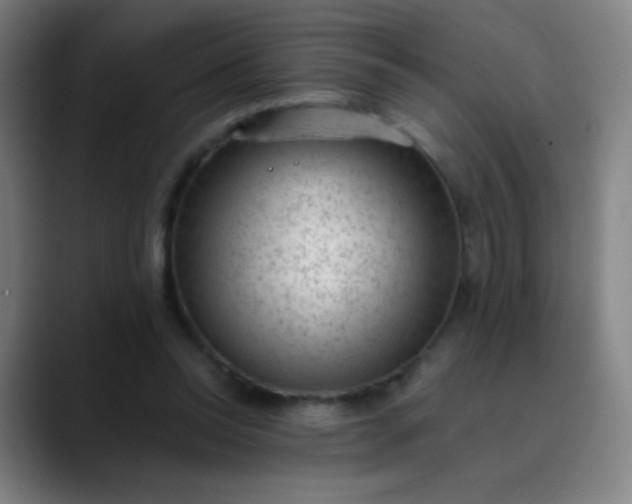 X0000089860350200707121740