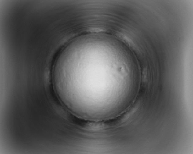 X0000089860351200707121740