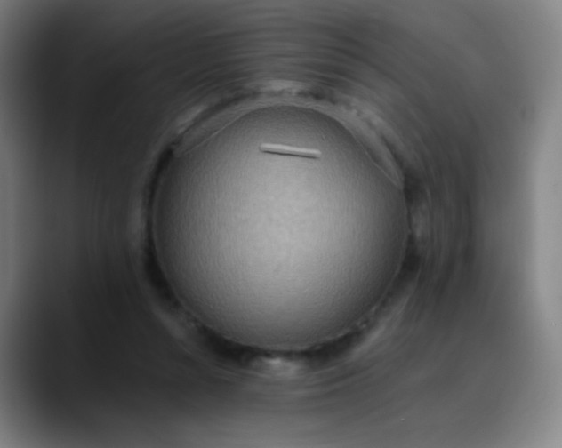 X0000089860352200707121740