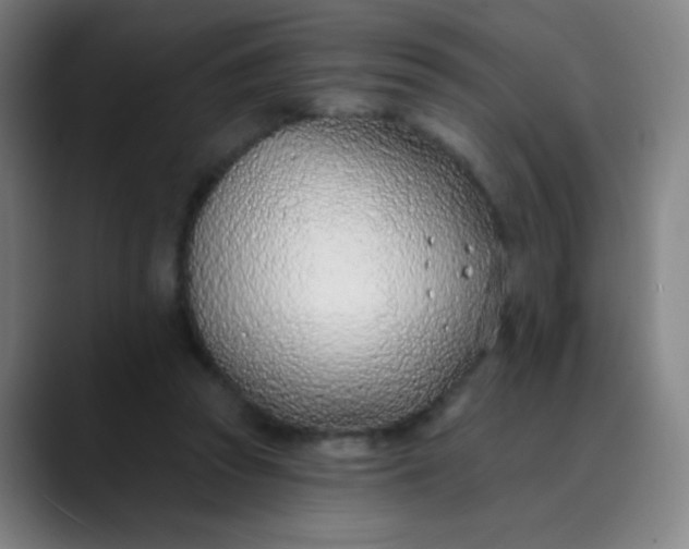 X0000089860353200707121740