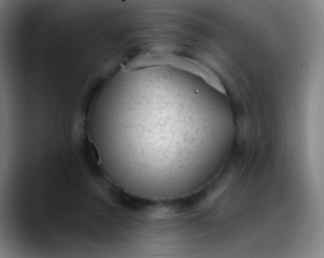 X0000089860356200707121740