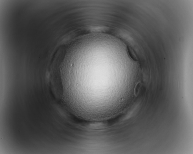 X0000089860357200707121740