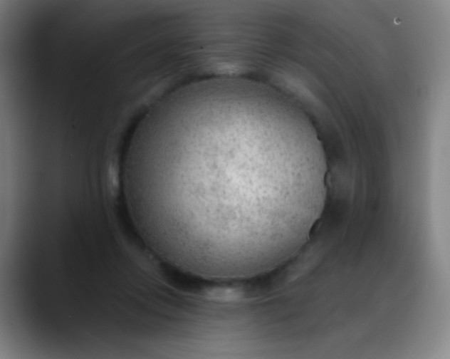 X0000089860358200707121740