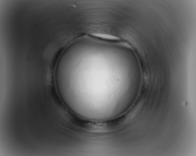 X0000089860359200707121740