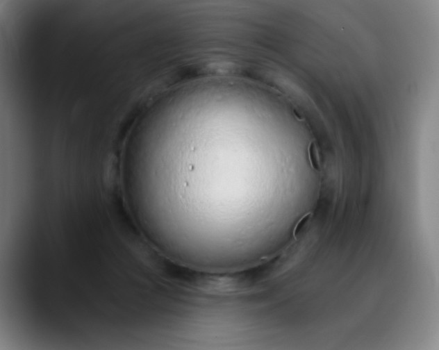 X0000089860361200707121740