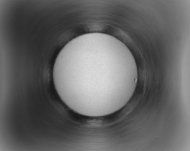 X0000089860362200707121740