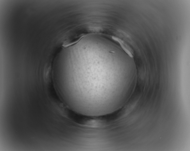 X0000089860364200707121740