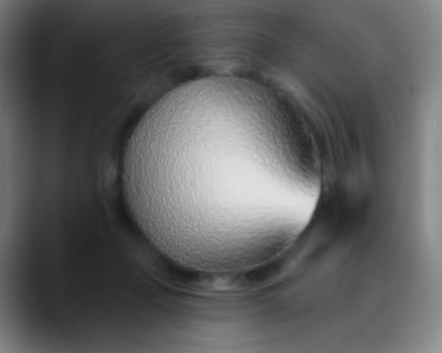 X0000089860365200707121740