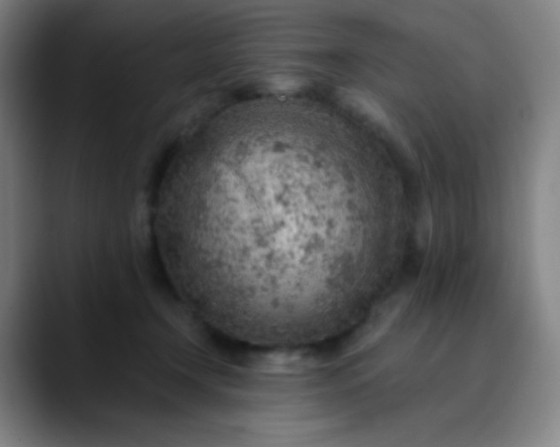 X0000089860366200707121740