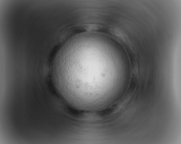 X0000089860367200707121740