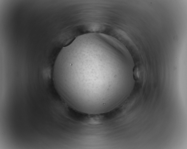 X0000089860368200707121740