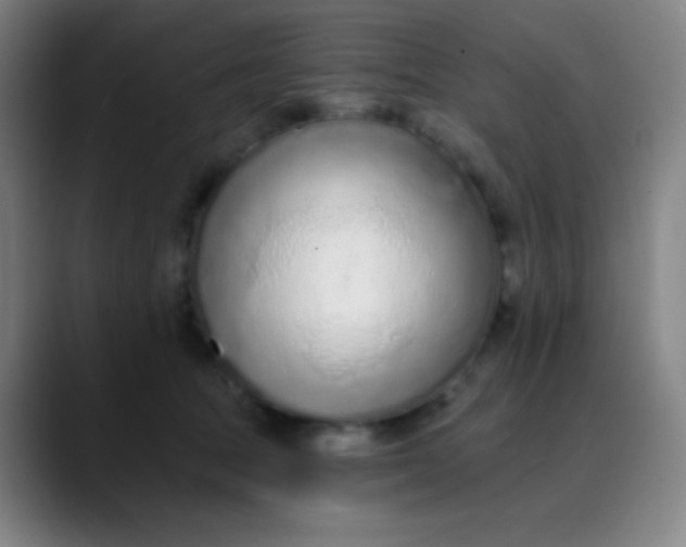 X0000089860369200707121740