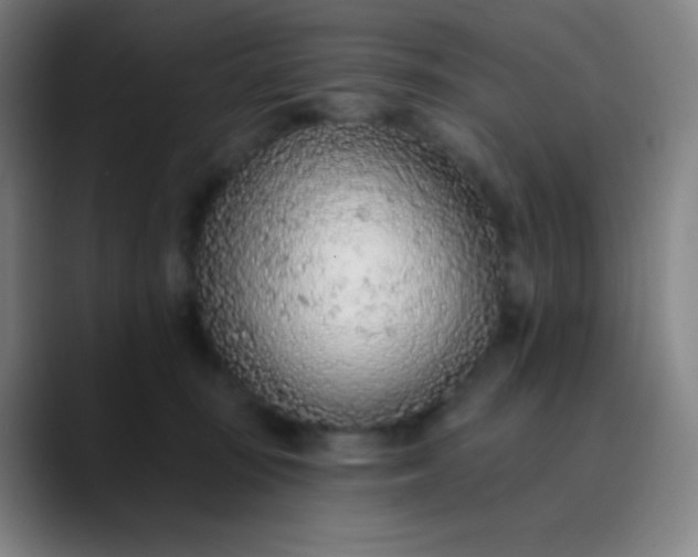 X0000089860371200707121740