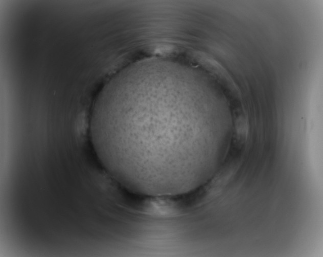 X0000089860372200707121740