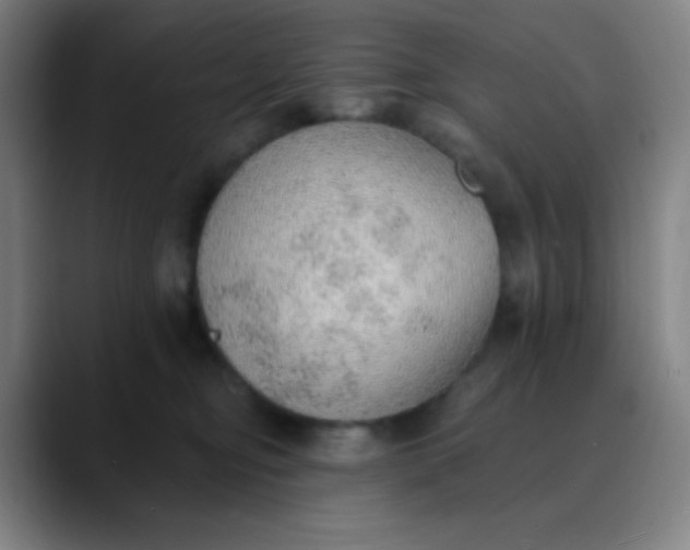 X0000089860374200707121740