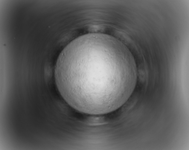 X0000089860375200707121740