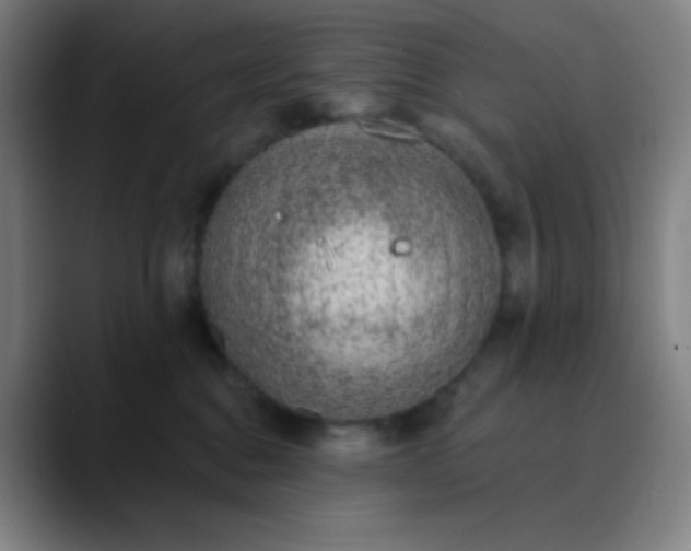 X0000089860376200707121740