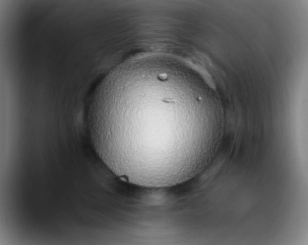 X0000089860377200707121741