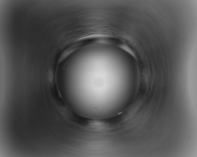 X0000089860380200707121741