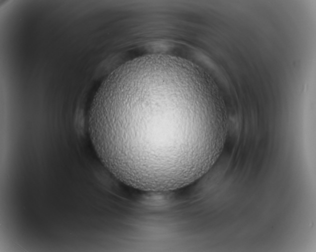 X0000089860381200707121741