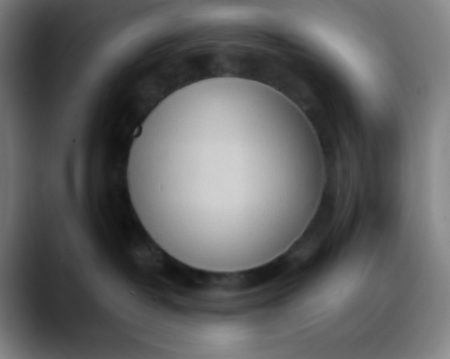 X0000089860382200707121741