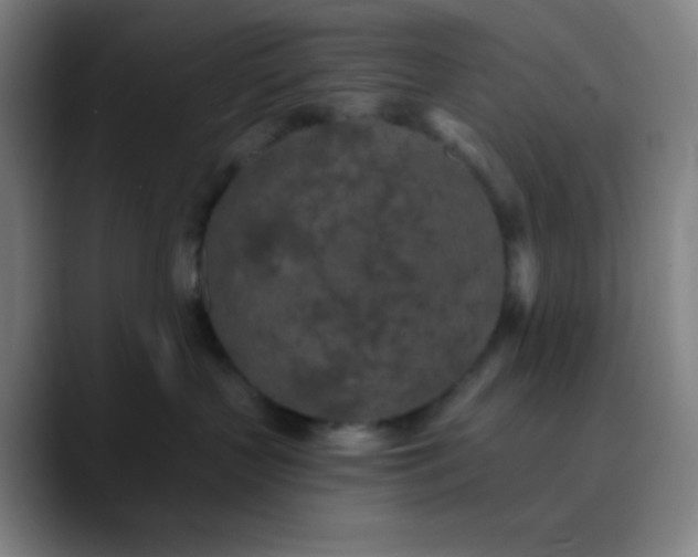 X0000089860383200707121741