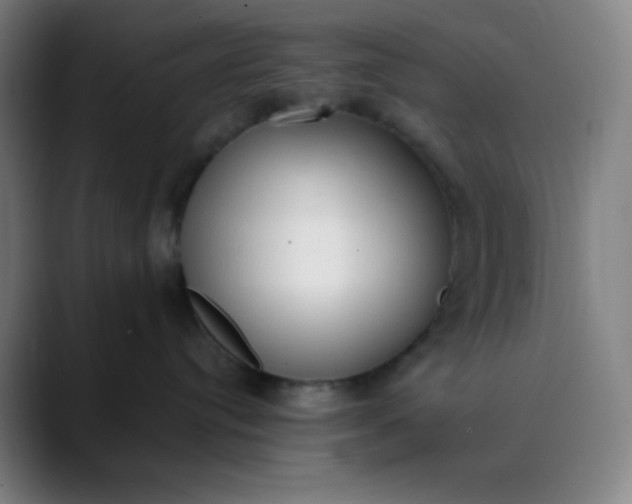 X0000089860384200707121741