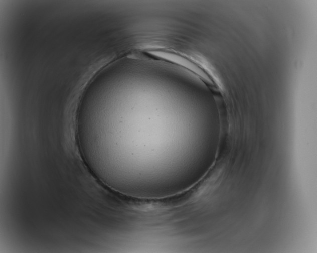 X0000089860385200707121740