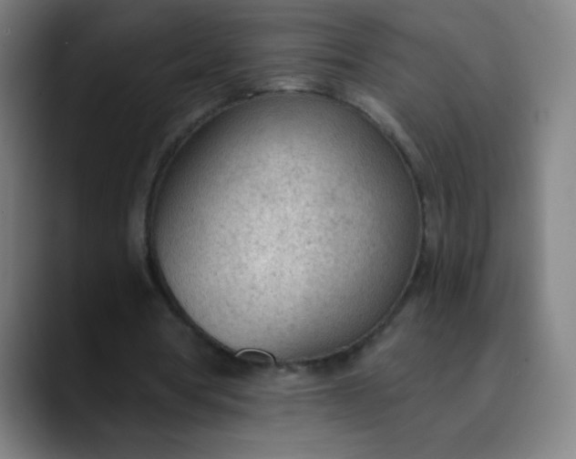 X0000089860386200707121740