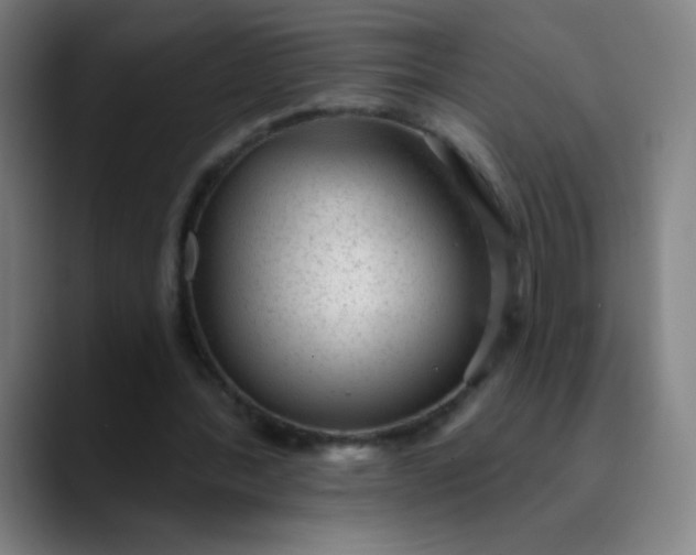 X0000089860388200707121740