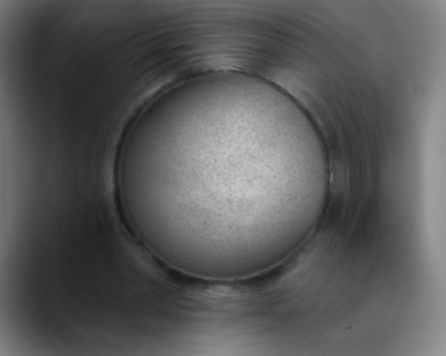 X0000089860390200707121740