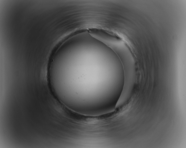 X0000089860391200707121740