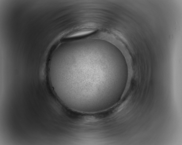 X0000089860392200707121740