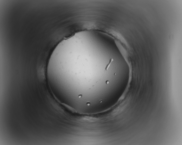 X0000089860393200707121740