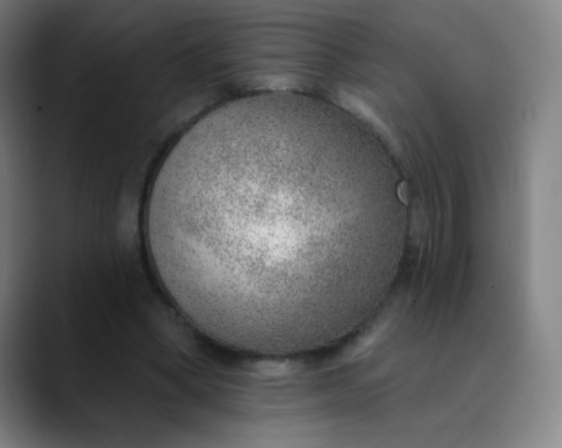 X0000089860394200707121740