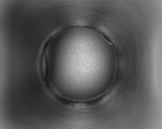 X0000089860395200707121740