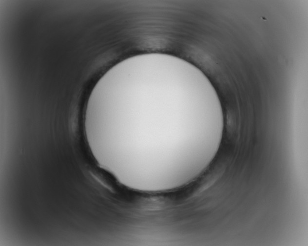 X0000089860396200707121740