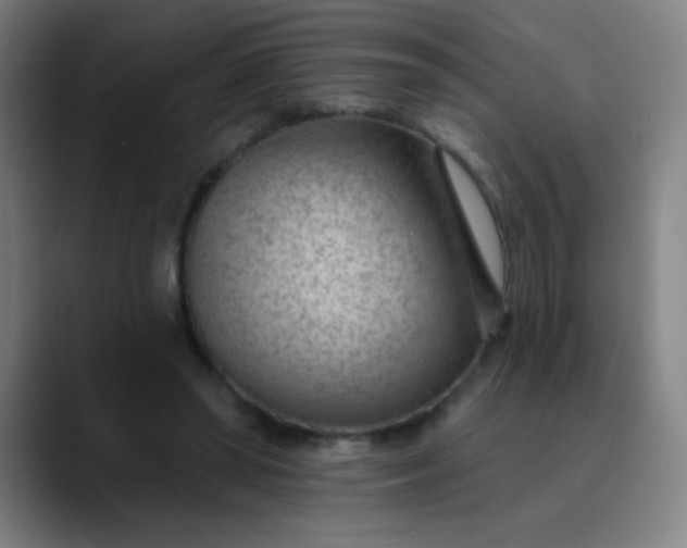 X0000089860398200707121740