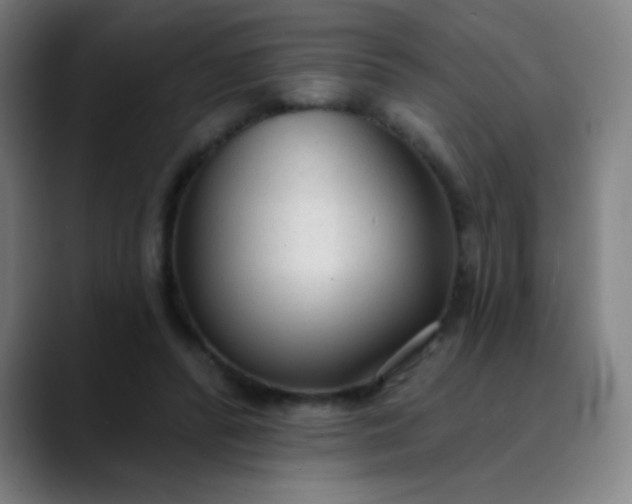 X0000089860400200707121740