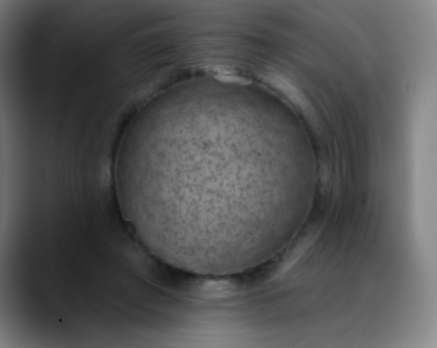 X0000089860401200707121740