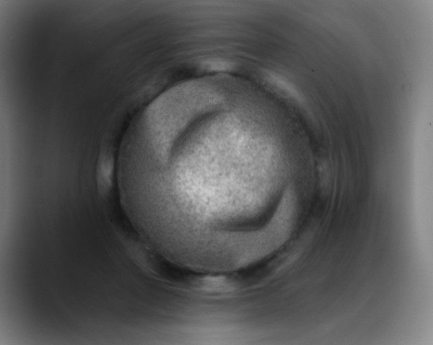 X0000089860406200707121740