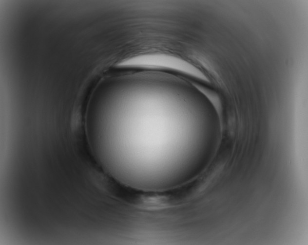 X0000089860407200707121740