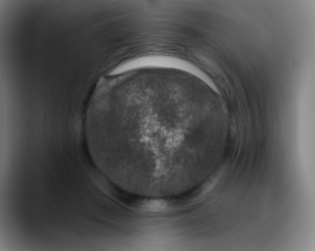 X0000089860409200707121740