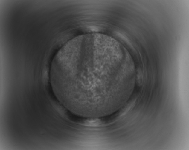 X0000089860410200707121740