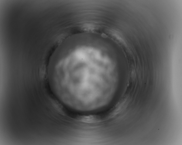 X0000089860411200707121740